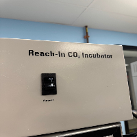 Thermo Scientific Reach-In CO2 Incubator image 0